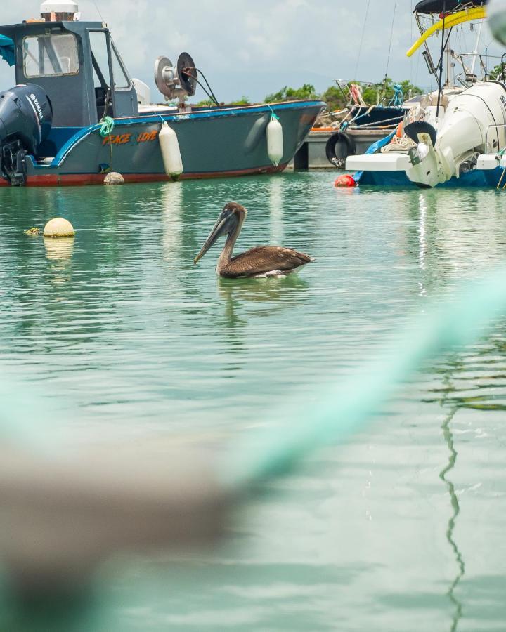 Evasion En Plein Coeur De La Ville T2 Jacuzzis Sauna Et Piscine Au Centre De Port-Louis Luaran gambar